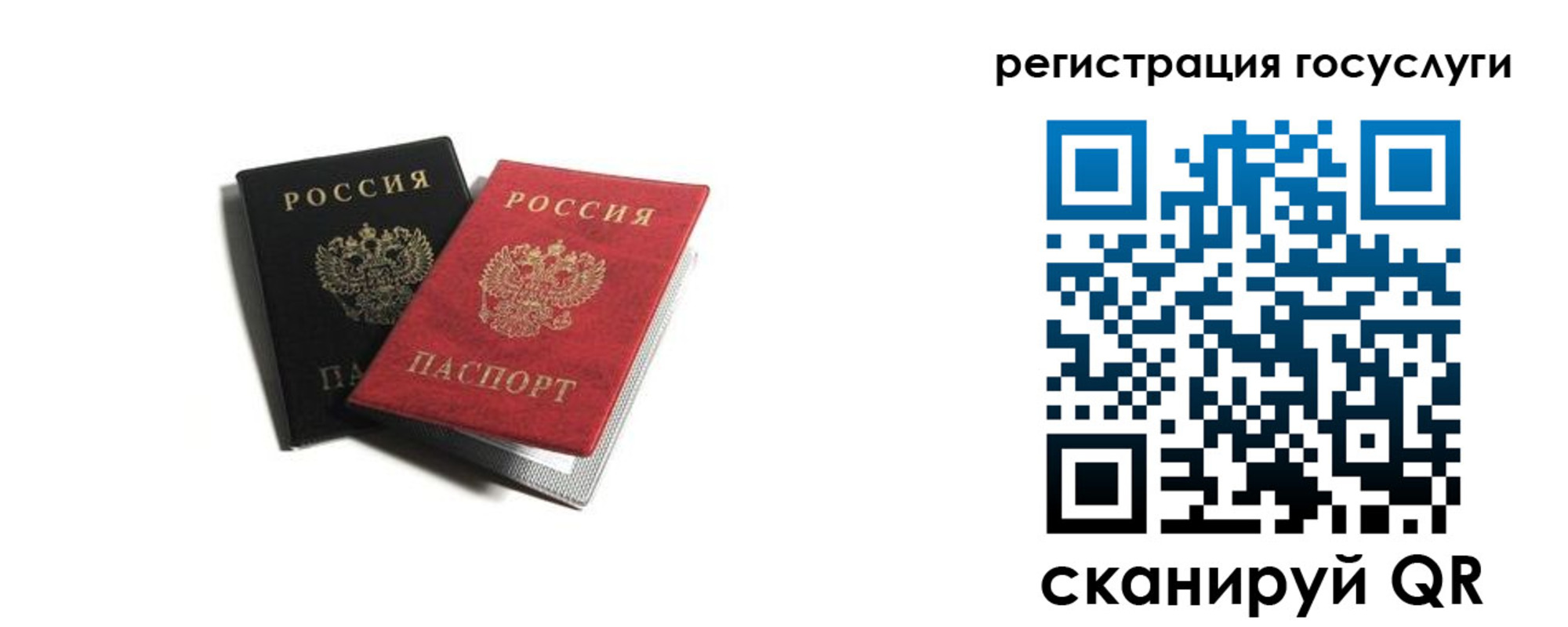 прописка гарантия в Сургуте
